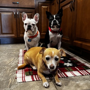 Diana Siravo-Marcotte